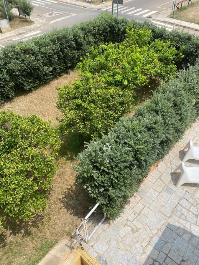 Lemon Apartments Villasimius Εξωτερικό φωτογραφία